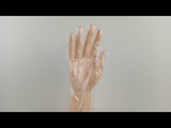 OEM Lightweight Durable Disposable Polyethylene Gloves Food Prep