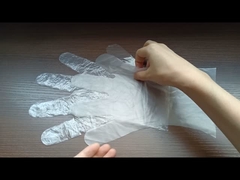 Oil Proof Disposable PE Gloves Sterile Clear Food Service Gloves